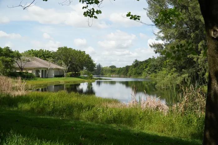 The practice, its team and equipment in Weston, Florida