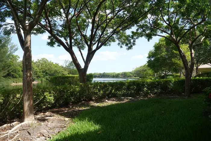 The practice, its team and equipment in Weston, Florida